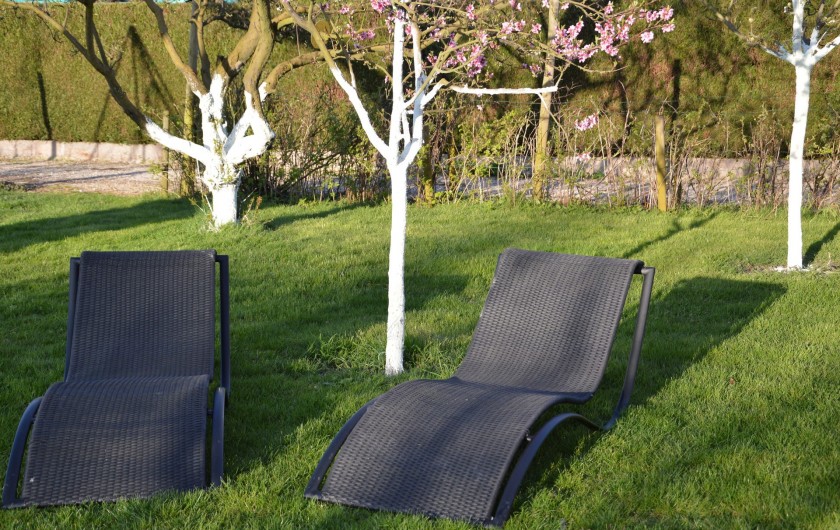 Location de vacances - Gîte à Ladoix-Serrigny - jardin