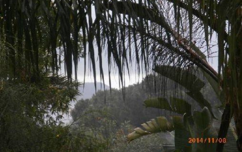 Location de vacances - Villa à Hyères