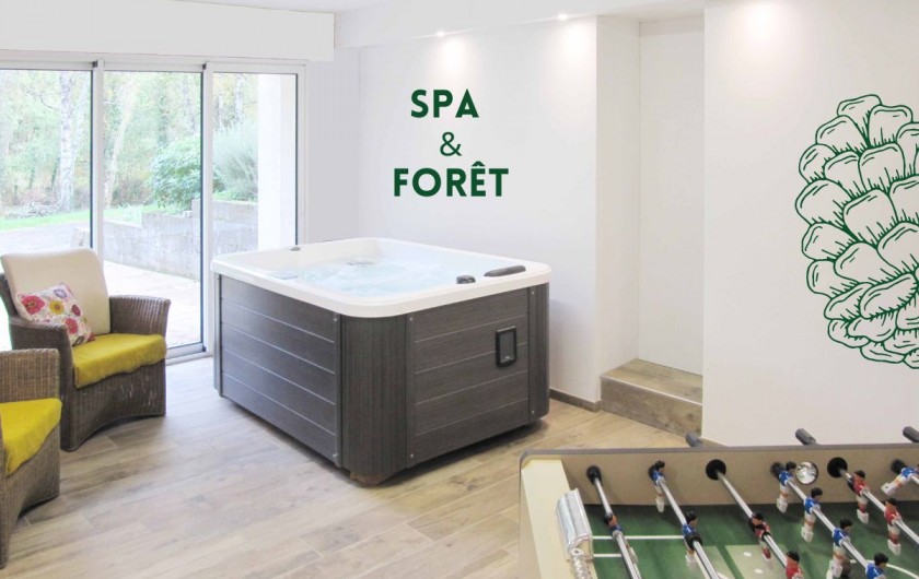 Location de vacances - Villa à Saumur