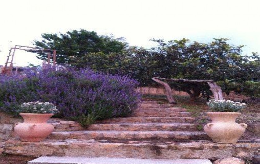 Location de vacances - Gîte à Sartène