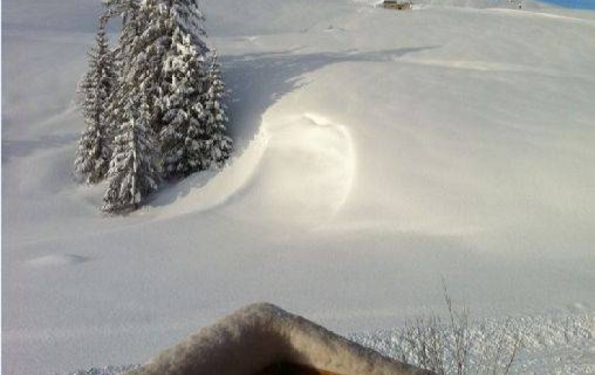 Location de vacances - Appartement à Courchevel 1650 (Moriond)