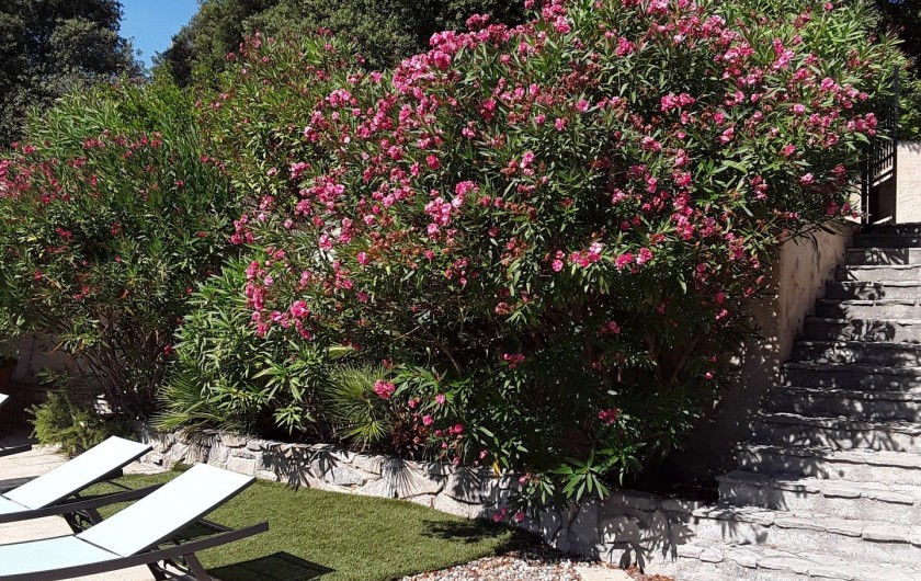 Location de vacances - Villa à Saint-Martin-de-Valgalgues