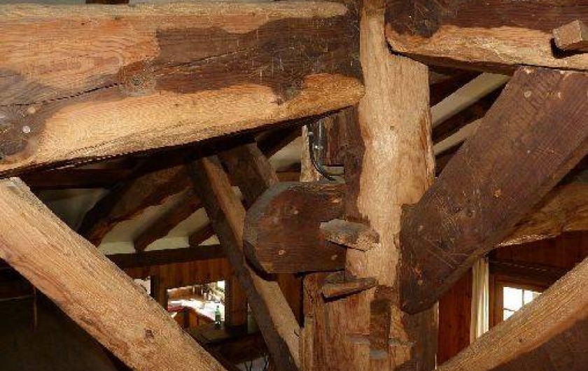 Location de vacances - Villa à Soustons