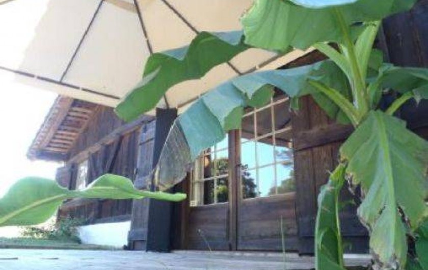 Location de vacances - Villa à Soustons