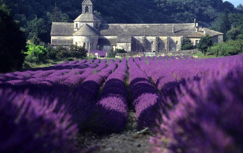 Location de vacances - Mas à Gordes - Gordes