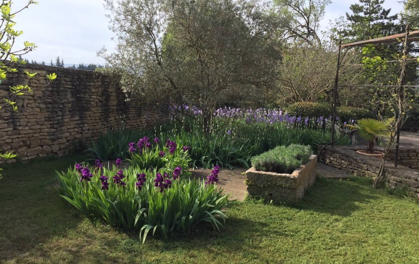Location de vacances - Mas à Gordes