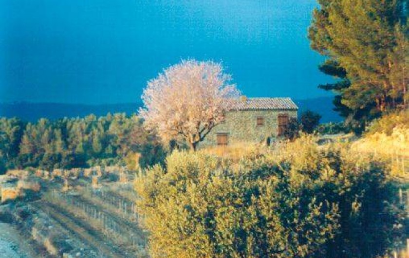 Location de vacances - Mas à Le Castellet