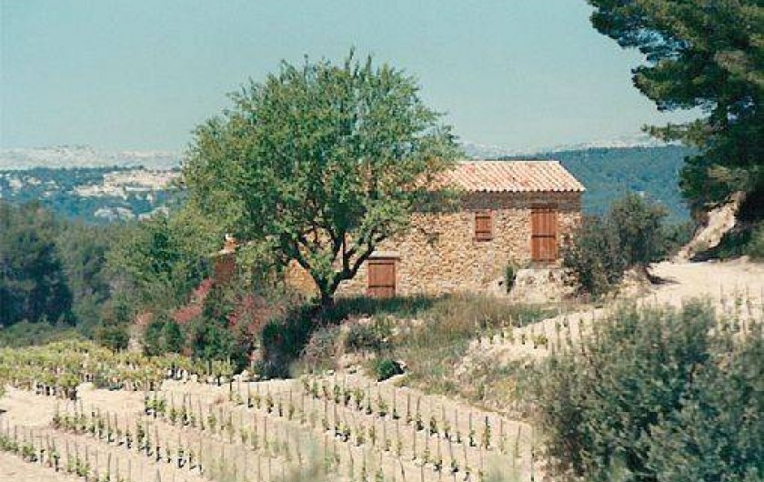 Location de vacances - Mas à Le Castellet