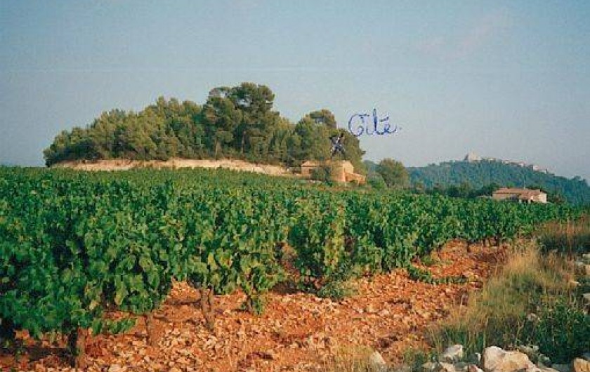 Location de vacances - Mas à Le Castellet