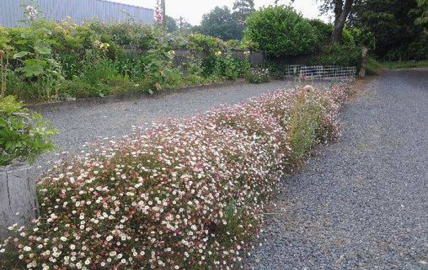 Location de vacances - Gîte à Tréguier