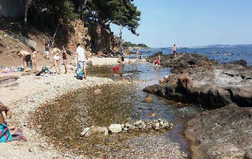 Location de vacances - Appartement à Carqueiranne