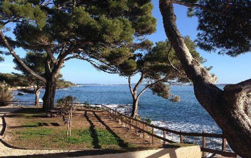 Location de vacances - Appartement à Carqueiranne