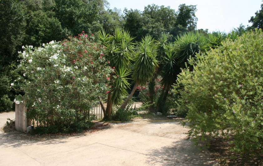 Location de vacances - Villa à Prunelli-di-Fiumorbo - extérieur