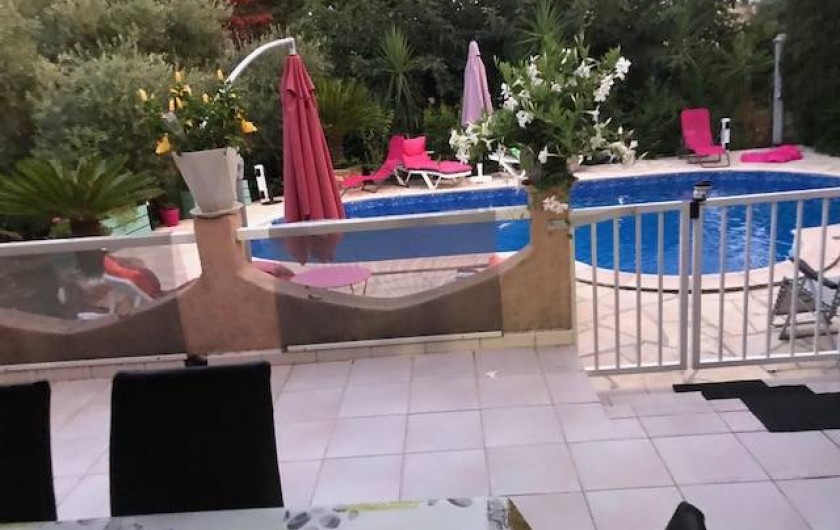Location de vacances - Villa à Prunelli-di-Fiumorbo - piscine vue de la terrasse