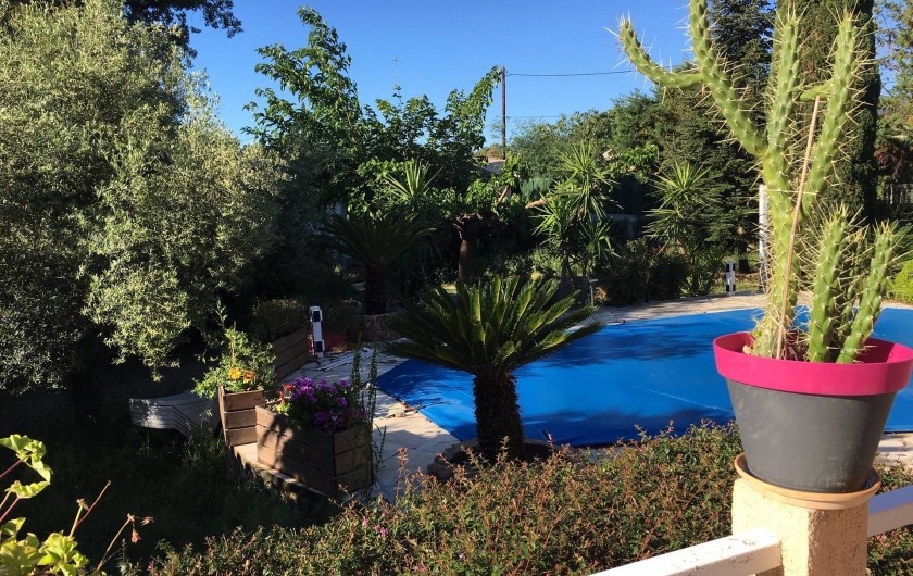 Location de vacances - Villa à Prunelli-di-Fiumorbo - vue piscine et jardin d'une des chambres