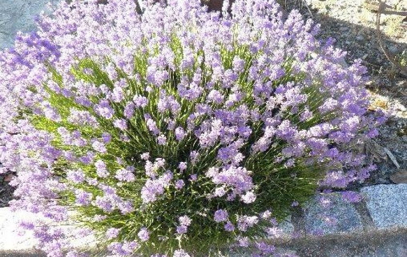 Location de vacances - Studio à Grimaud