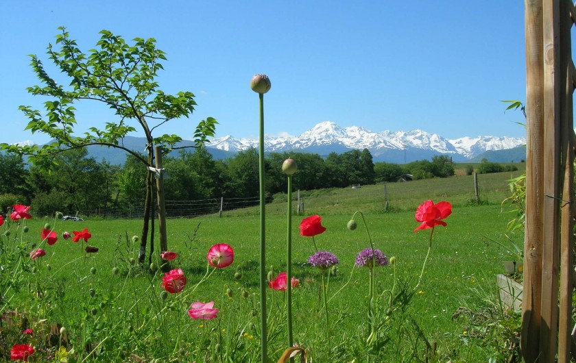 Location de vacances - Appartement à Cieutat