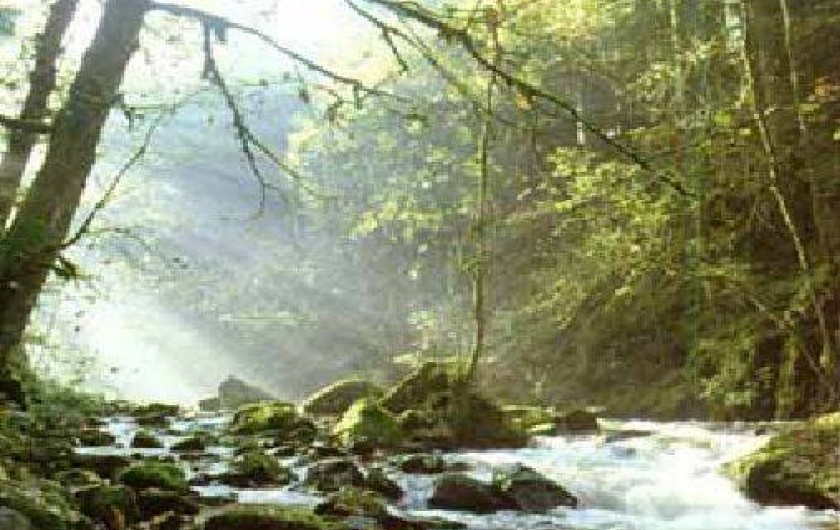 Location de vacances - Chalet à Vagney