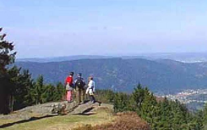 Location de vacances - Chalet à Vagney