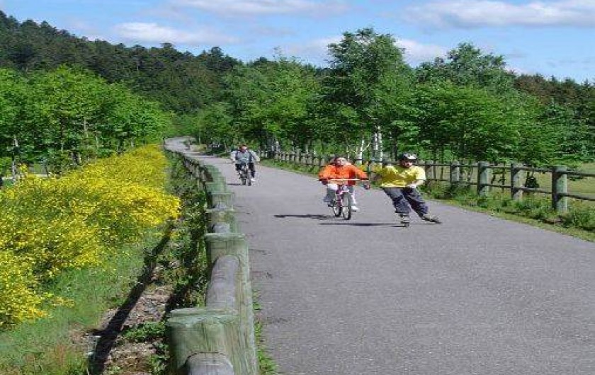 Location de vacances - Chalet à Vagney