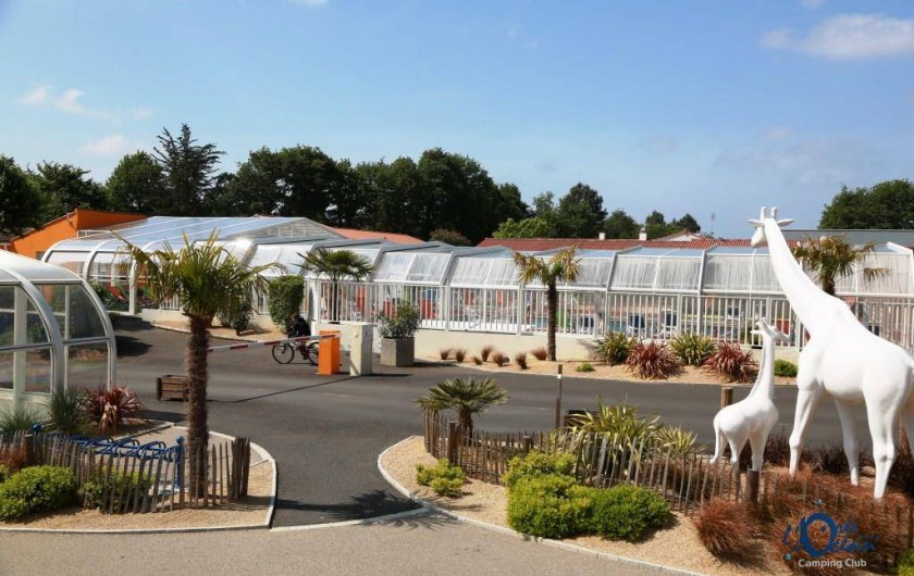 Location de vacances - Bungalow - Mobilhome à Landevieille - Accueil du camping l'Orée de l'Océan en Vendée