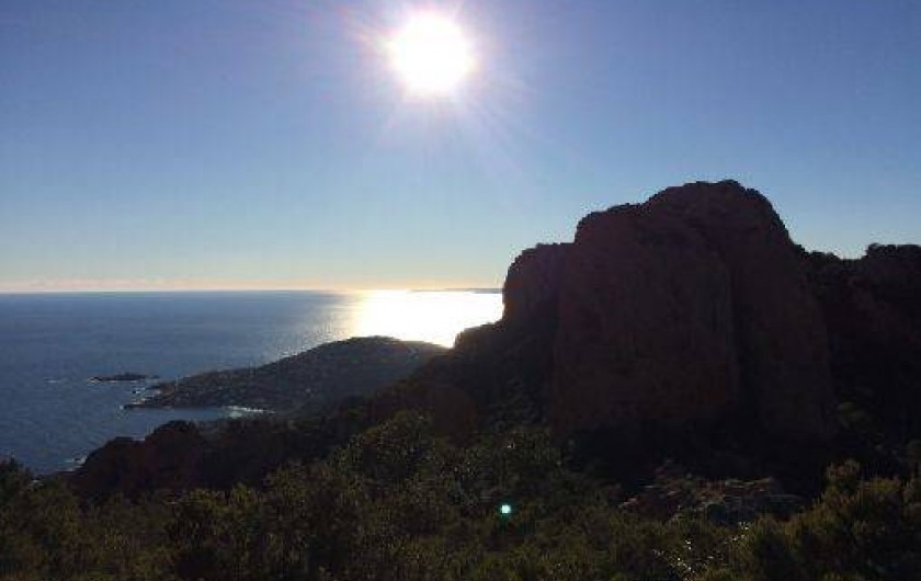 Location de vacances - Villa à Mandelieu-la-Napoule