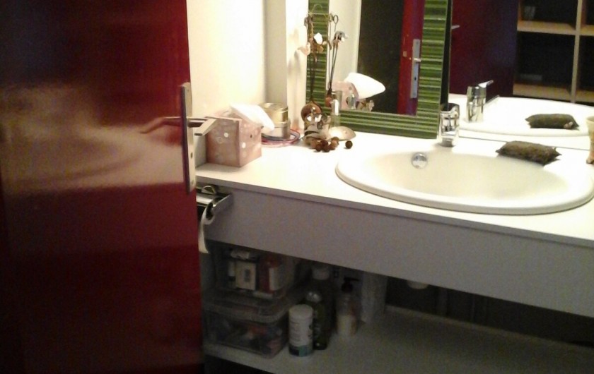 Location de vacances - Appartement à Laveissière