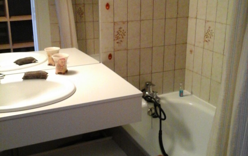 Location de vacances - Appartement à Laveissière