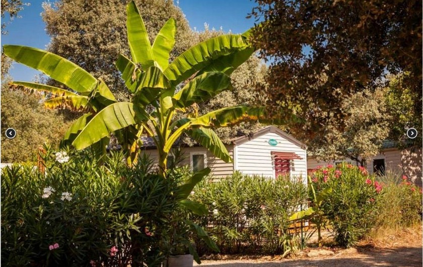 Location de vacances - Bungalow - Mobilhome à Boisseron