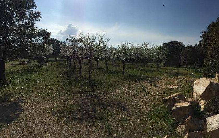 Location de vacances - Villa à Lumio