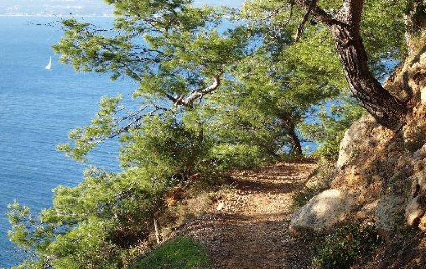 Location de vacances - Studio à Saint-Cyr-sur-Mer