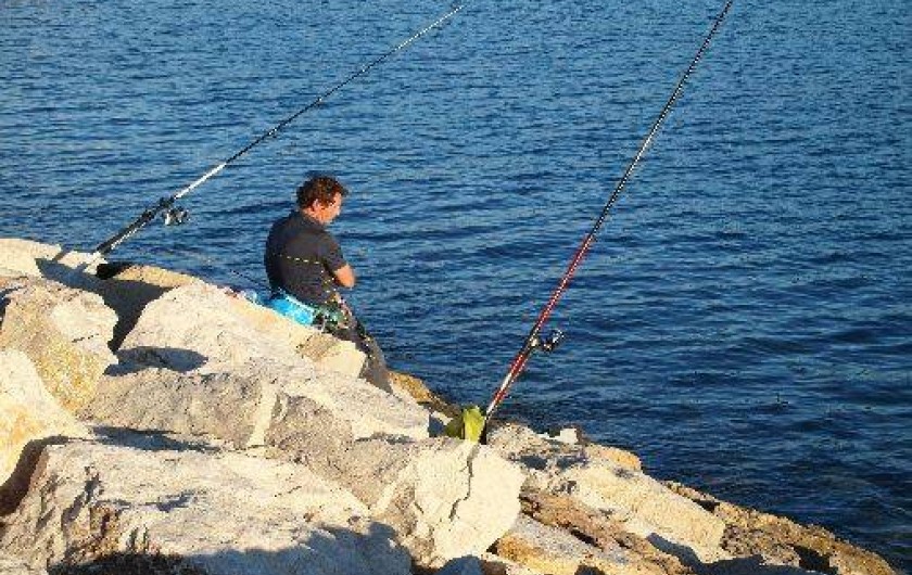 Location de vacances - Studio à Saint-Cyr-sur-Mer