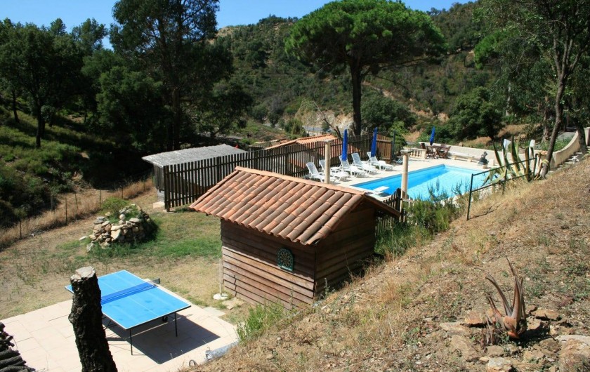 Location de vacances - Chalet à Sainte-Maxime - la piscine - table de tennis