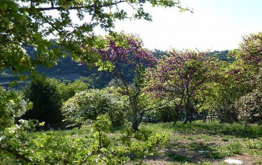 Location de vacances - Gîte à Les Vans