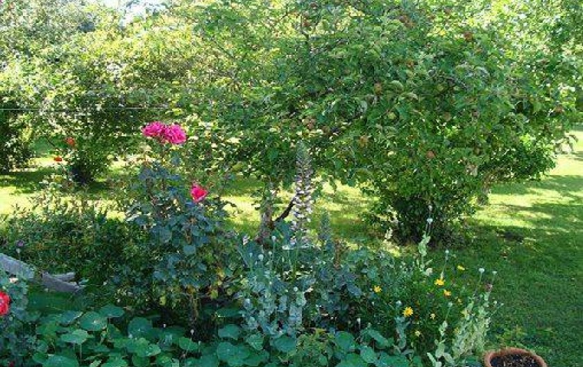 Location de vacances - Chambre d'hôtes à L'Île-d'Yeu