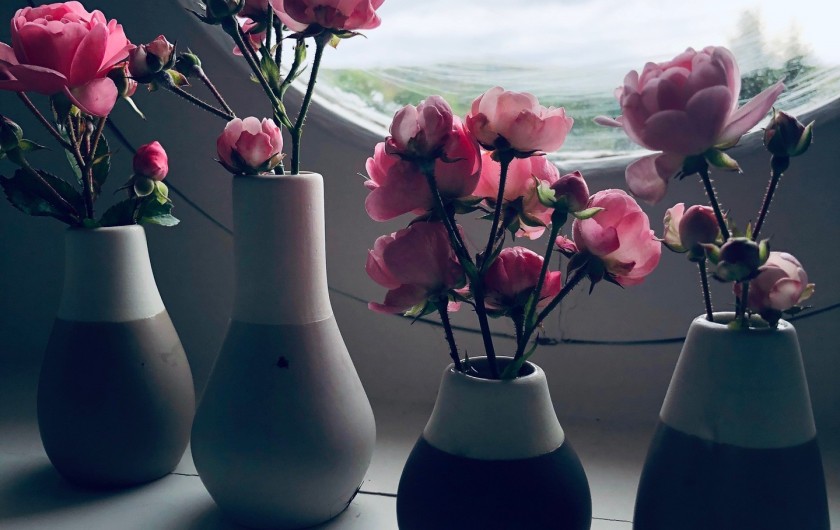 Location de vacances - Gîte à Tonnoy - Des fleurs... encore des fleurs