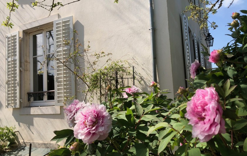 Location de vacances - Gîte à Tonnoy - le jardin fleuri