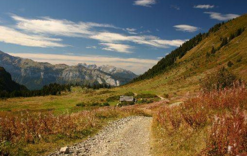 Location de vacances - Studio à Les Carroz d'Arâches