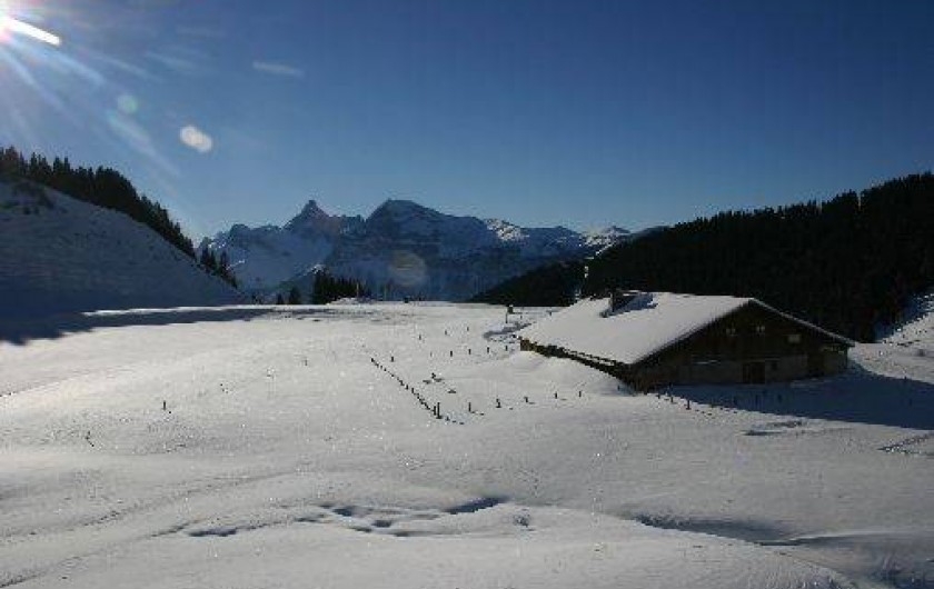 Location de vacances - Studio à Les Carroz d'Arâches