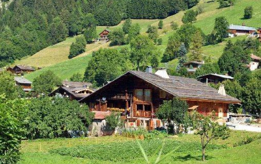 Location de vacances - Gîte à La Clusaz - Vue d'ensmble été