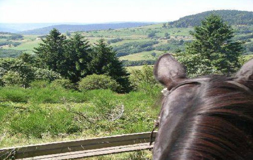 Location de vacances - Gîte à Saulxures-sur-Moselotte