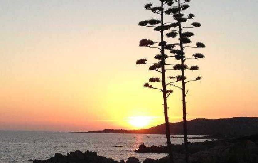 Location de vacances - Appartement à Tizzano