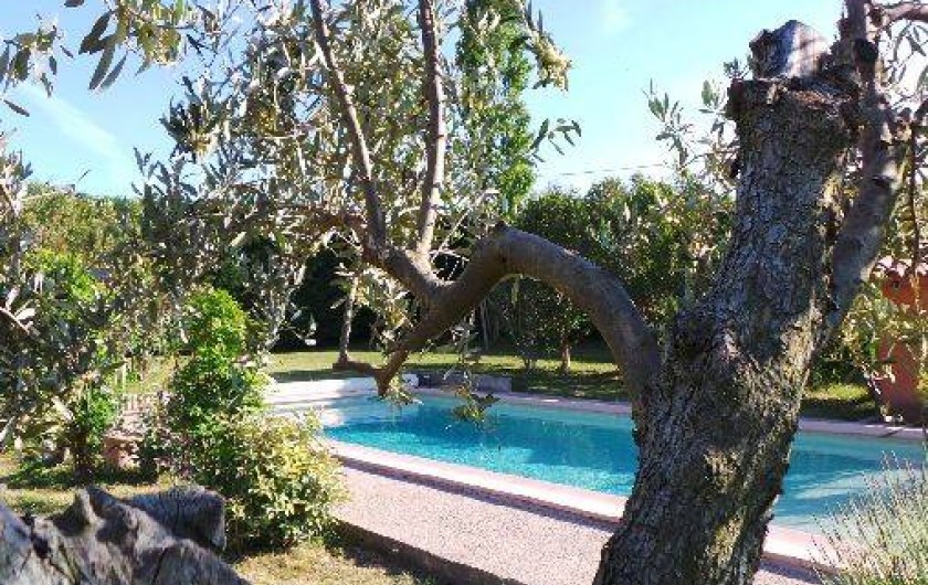 Location de vacances - Villa à Bollène