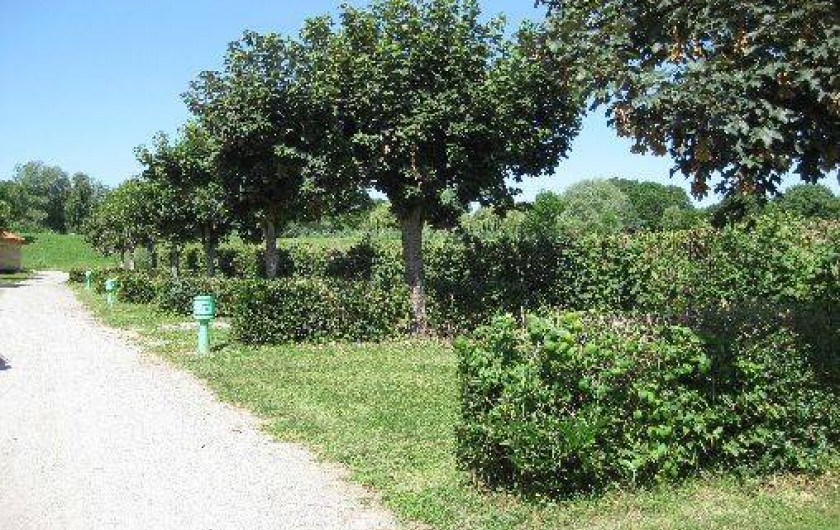 Location de vacances - Camping à Bellenaves - Mini-camping : Emplacements nus avec électricité en option