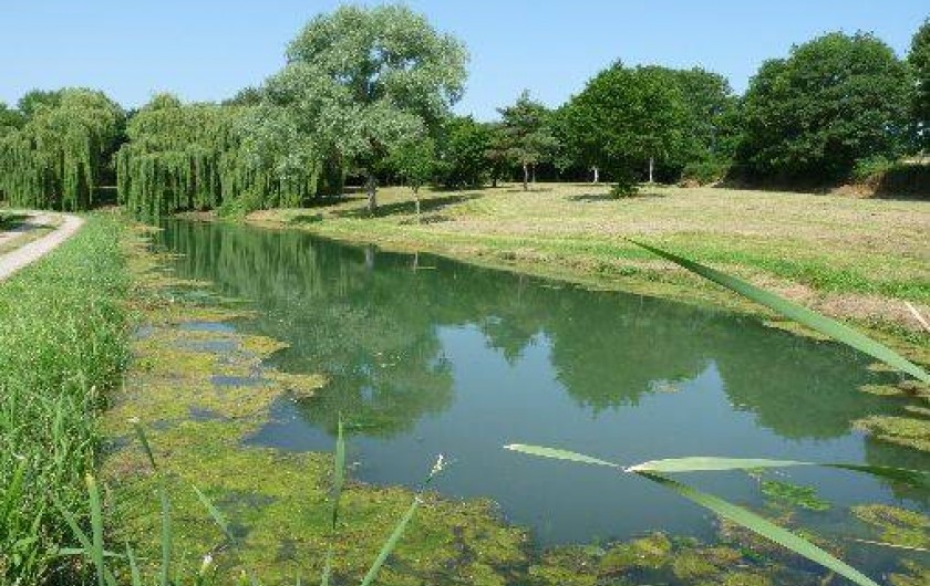Location de vacances - Camping à Bellenaves - Etang de pêche sur place