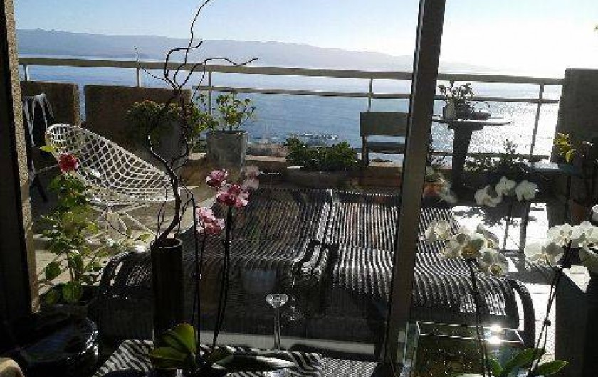 Location de vacances - Appartement à Ajaccio