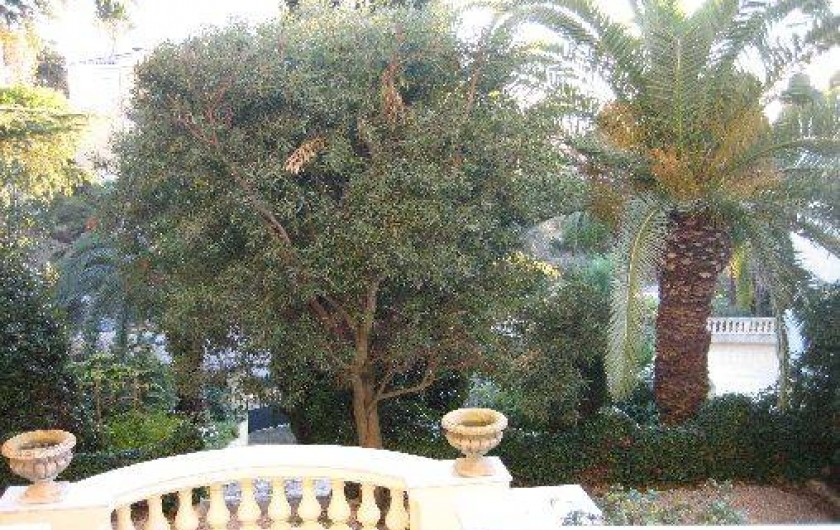 Location de vacances - Villa à Cannes