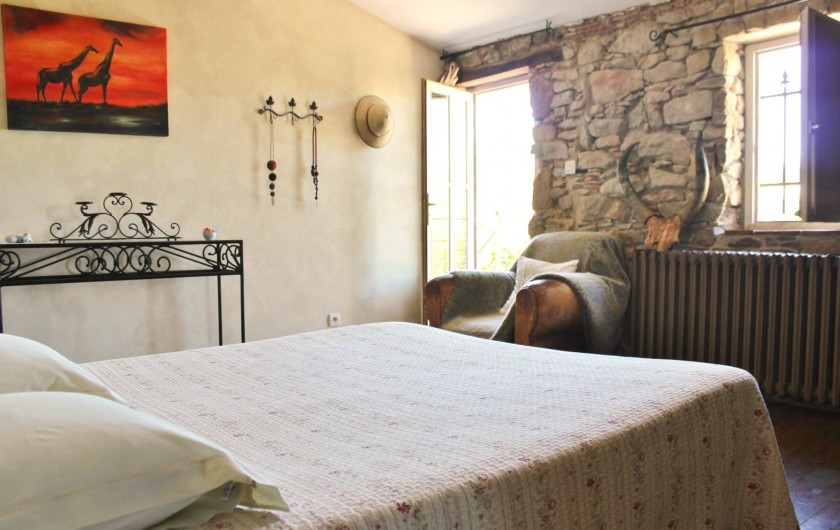 Location de vacances - Villa à Carcassonne - la savane