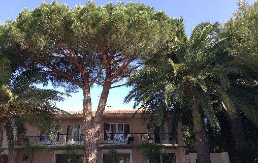 Location de vacances - Appartement à Cavalaire-sur-Mer