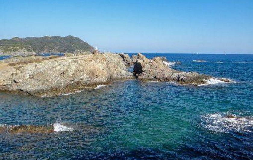 Location de vacances - Maison - Villa à Six-Fours-les-Plages